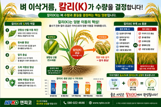 엔피코뉴스님의 자유주제·자유게시판 작성글 사진