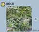 홈 갤러리 이미지