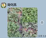 팜모닝 자유주제·자유게시판 게시글 이미지