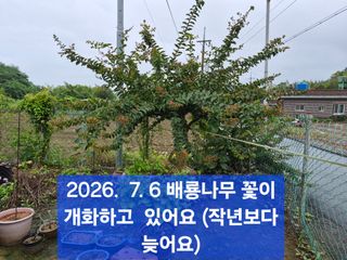 박성민님의 자유주제 · 자유게시판 작성글 사진