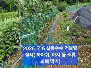 박성민님의 자유주제 · 자유게시판 작성글 사진