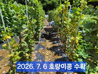 박성민님의 자유주제 · 자유게시판 작성글 사진