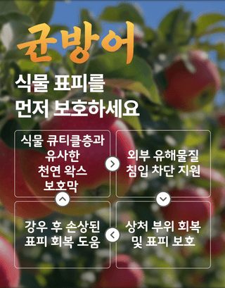 농업마켓365님의 작성글 사진