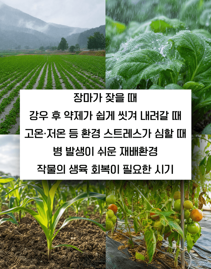 농업마켓365님의 장터 판매 상품 [병해방어 프리미엄 SET 균방어 500ml 역바이러스 500ml 식물영양제 병해종합관리] 첨부 사진