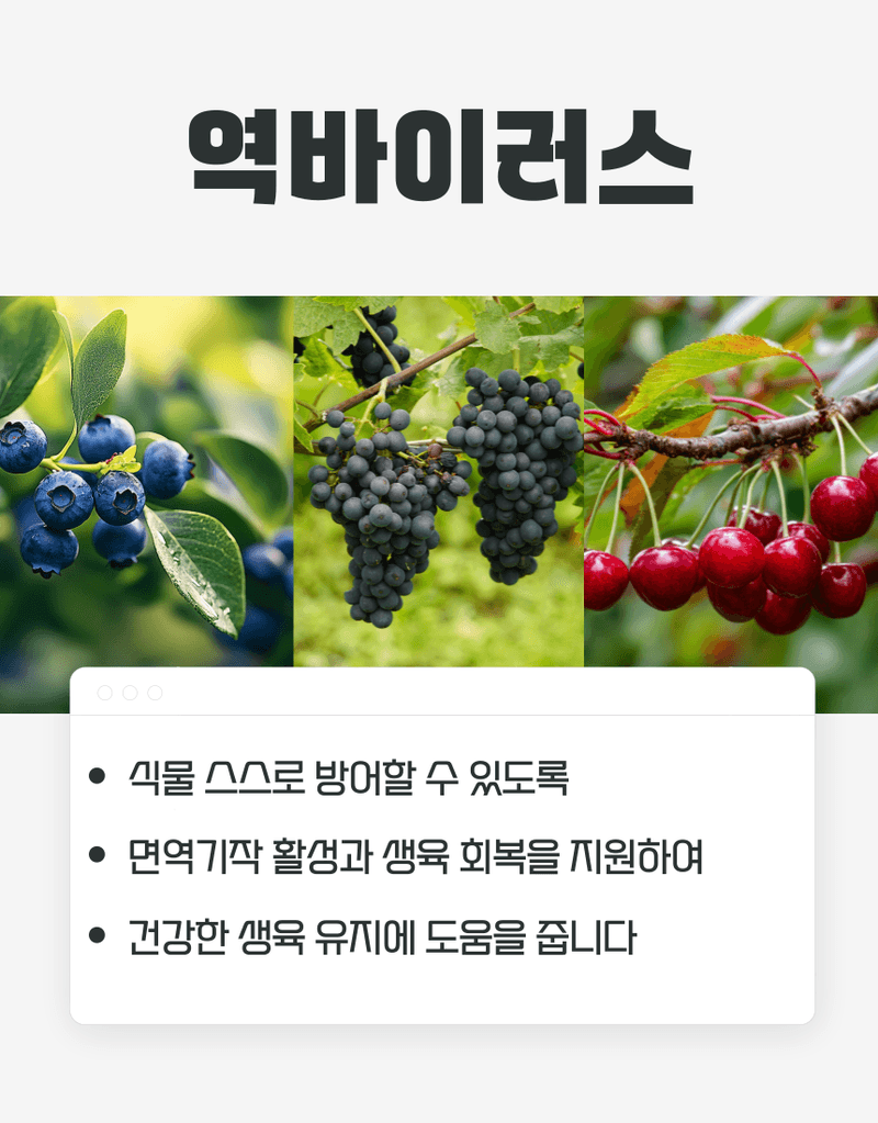 농업마켓365님의 장터 판매 상품 [병해방어 프리미엄 SET 균방어 500ml 역바이러스 500ml 식물영양제 병해종합관리] 첨부 사진
