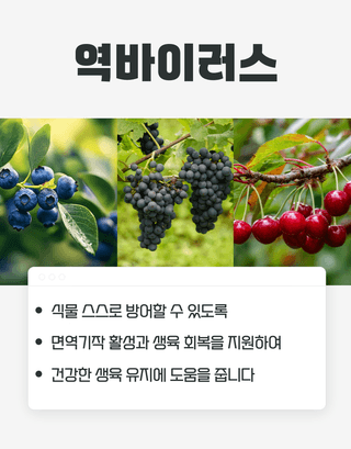 농업마켓365님의 작성글 사진