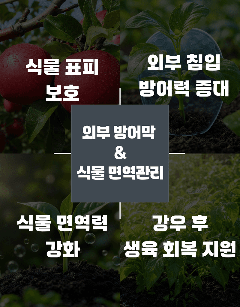 농업마켓365님의 장터 판매 상품 [병해방어 프리미엄 SET 균방어 500ml 역바이러스 500ml 식물영양제 병해종합관리] 첨부 사진