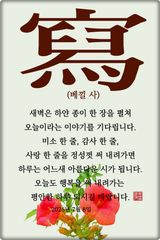 팜모닝 자유주제·자유게시판 게시글 이미지