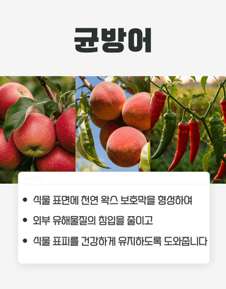 농업마켓365님의 작성글 사진