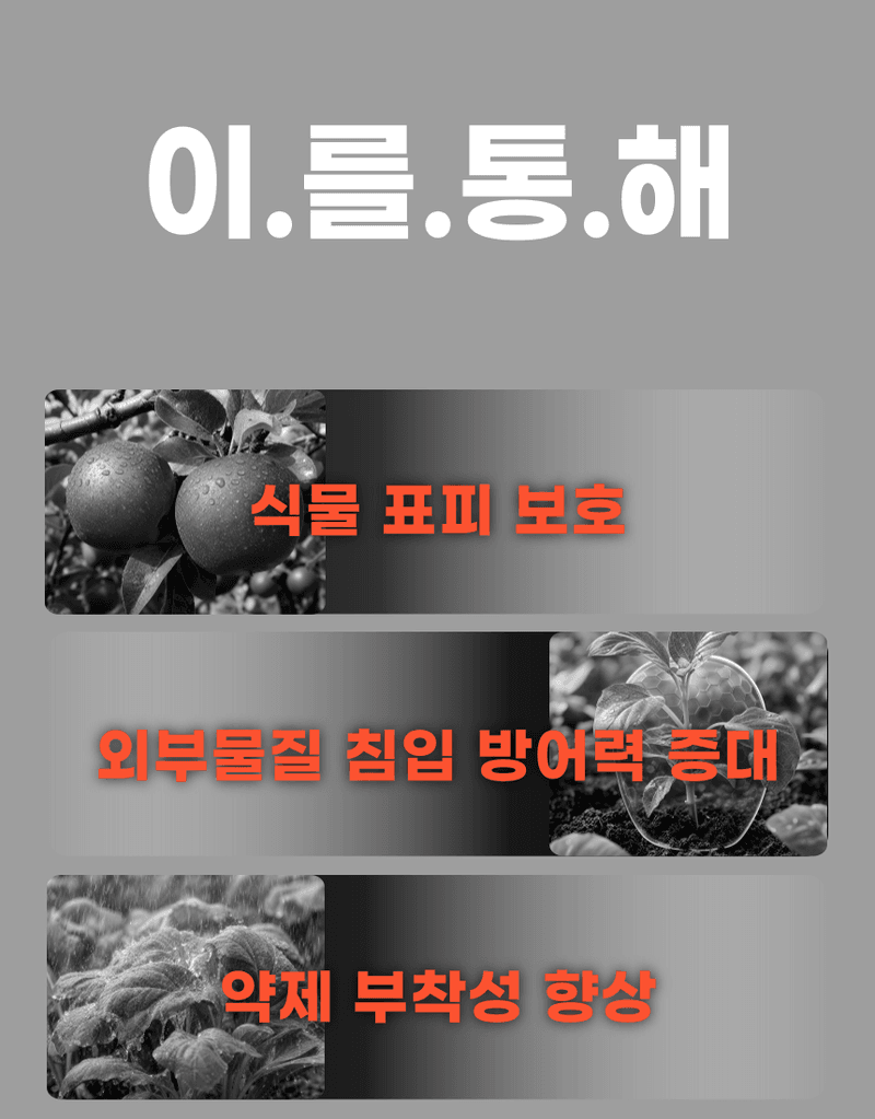 농업마켓365님의 장터 판매 상품 [병해방어 프리미엄 SET 균방어 500ml 역바이러스 500ml 식물영양제 병해종합관리] 첨부 사진