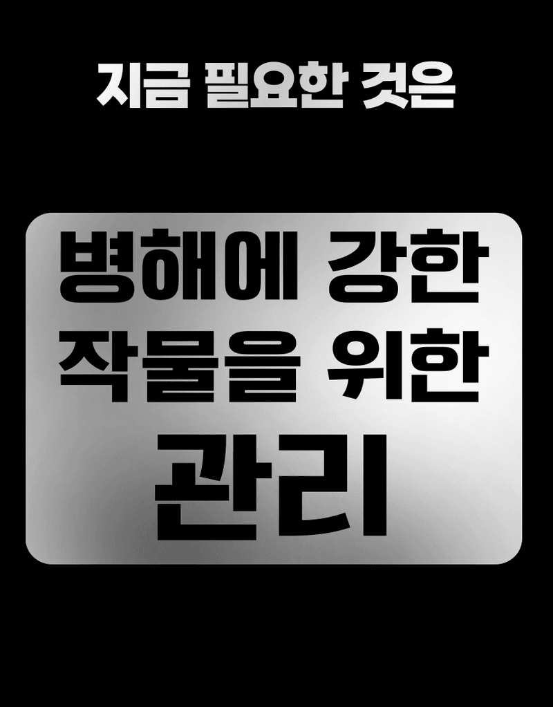 농업마켓365님의 장터 판매 상품 [병해방어 프리미엄 SET 균방어 500ml 역바이러스 500ml 식물영양제 병해종합관리] 첨부 사진