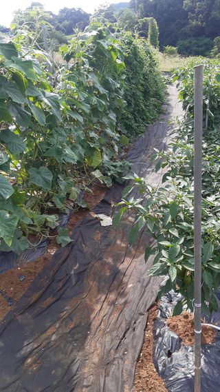 하루의행복님의 자유주제 · 자유게시판 작성글 사진