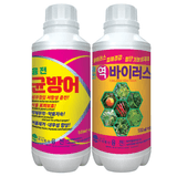 팜모닝 · 게시글 이미지