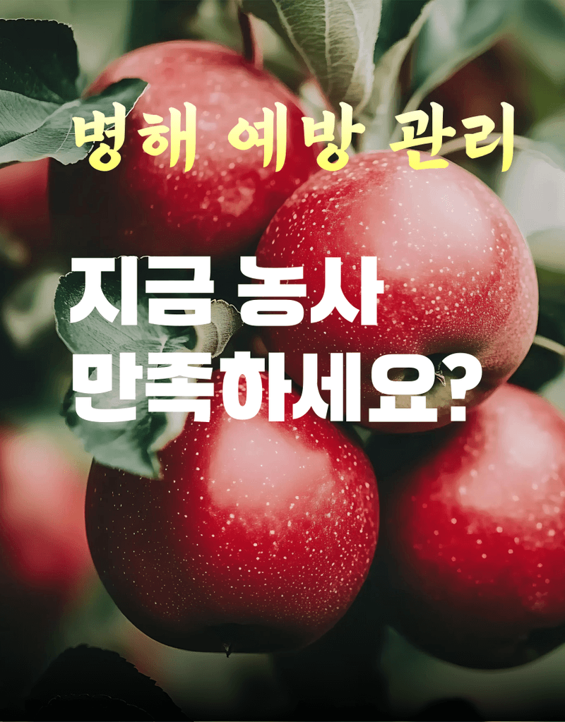 농업마켓365님의 장터 판매 상품 [병해방어 프리미엄 SET 균방어 500ml 역바이러스 500ml 식물영양제 병해종합관리] 첨부 사진