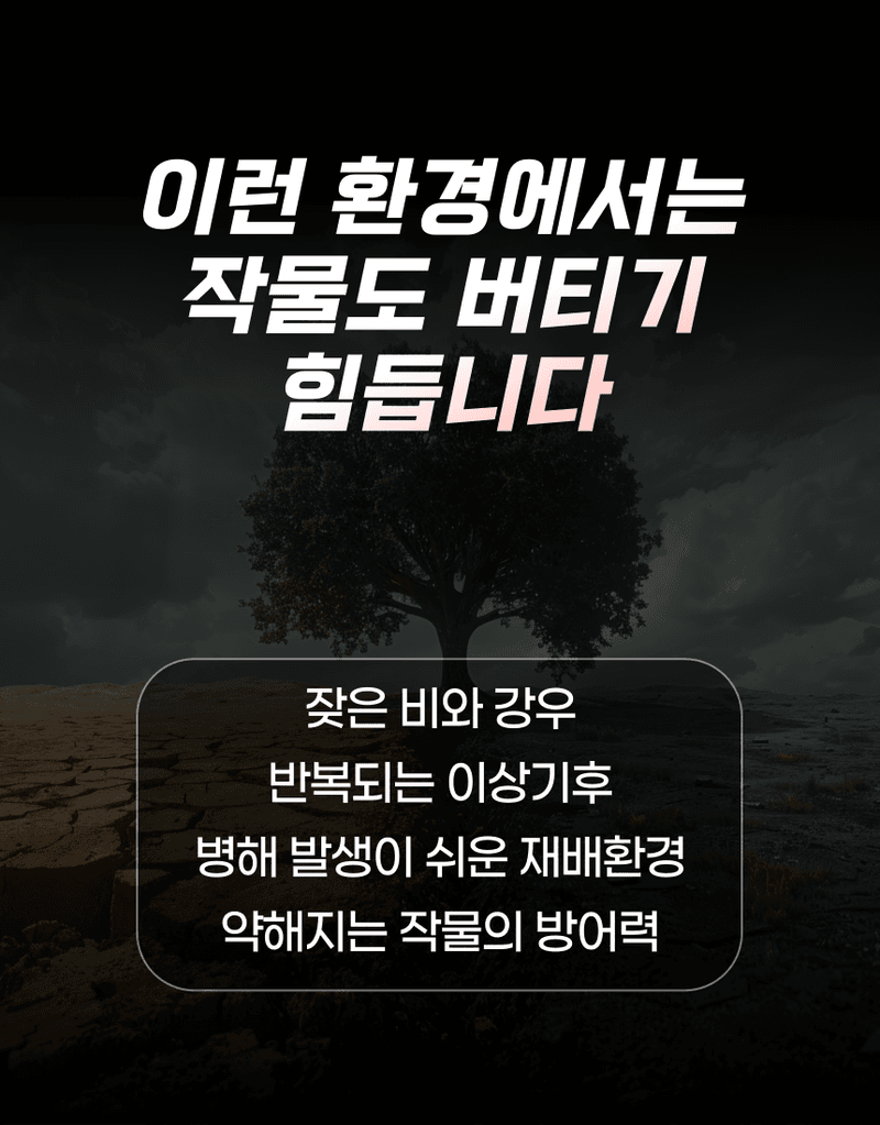 농업마켓365님의 장터 판매 상품 [병해방어 프리미엄 SET 균방어 500ml 역바이러스 500ml 식물영양제 병해종합관리] 첨부 사진