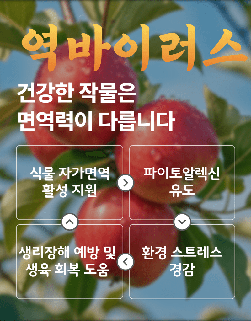 농업마켓365님의 장터 판매 상품 [병해방어 프리미엄 SET 균방어 500ml 역바이러스 500ml 식물영양제 병해종합관리] 첨부 사진