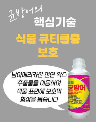 농업마켓365님의 작성글 사진