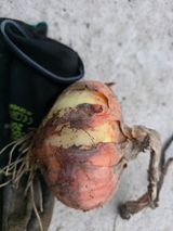 열정님의 자유주제·자유게시판 작성글 사진