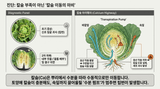 엔피코뉴스님의 자유주제·자유게시판 작성글 사진