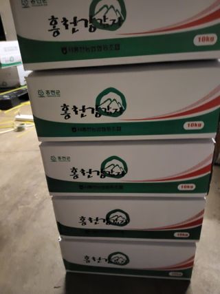 이연화님의 자유주제 · 자유게시판 작성글 사진