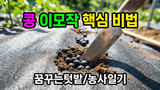 팜모닝 자유주제·자유게시판 게시글 이미지