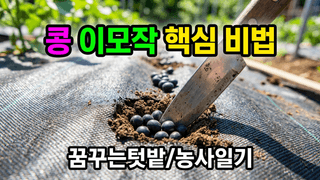 꿈꾸는텃밭님의 자유주제 · 자유게시판 작성글 사진