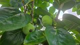 해균님의 자유주제·자유게시판 작성글 사진