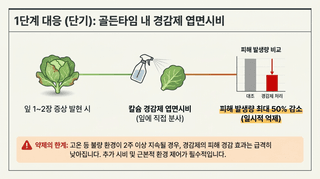 엔피코뉴스님의 자유주제 · 자유게시판 작성글 사진