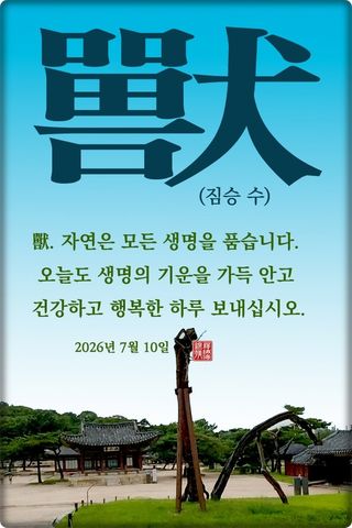 정진해님의 자유주제 · 자유게시판 작성글 사진