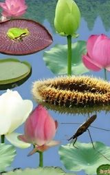 MSG0074님의 자유주제·자유게시판 작성글 사진