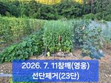박성민님의 자유주제·자유게시판 작성글 사진