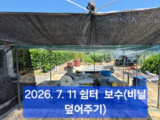 박성민님의 자유주제 · 자유게시판 작성글 사진