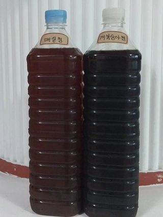 농민님의 자유주제 · 자유게시판 작성글 사진