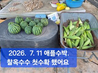 박성민님의 자유주제 · 자유게시판 작성글 사진