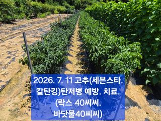 박성민님의 자유주제·자유게시판 작성글 사진