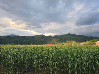 장관덕님의 자유주제 · 자유게시판 작성글 사진