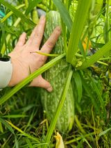 farmer님의 자유주제·자유게시판 작성글 사진