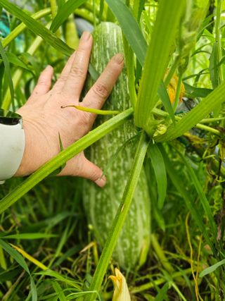 farmer님의 자유주제 · 자유게시판 작성글 사진