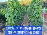 박성민님의 자유주제·자유게시판 작성글 사진