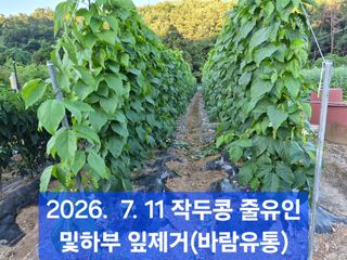 박성민님의 자유주제 · 자유게시판 작성글 사진