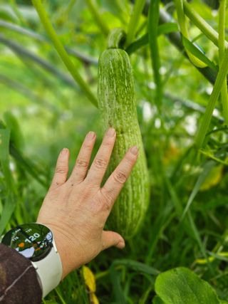 farmer님의 자유주제 · 자유게시판 작성글 사진