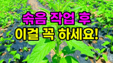 팜모닝 자유주제·자유게시판 게시글 이미지