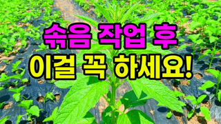 꿈꾸는텃밭님의 자유주제·자유게시판 작성글 사진