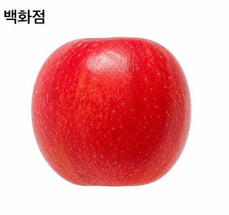 메종루엘님의 장터 판매 상품 [당도선별 (백화점등급) 부사사과 ] 첨부 사진
