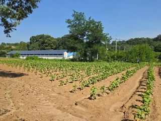 권병☆님의 자유주제 · 자유게시판 작성글 사진