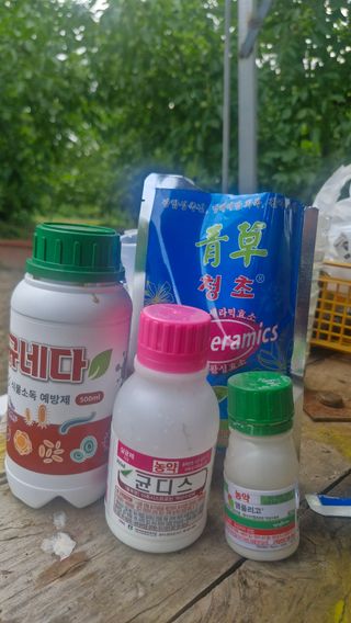 정석구님의 자유주제·자유게시판 작성글 사진