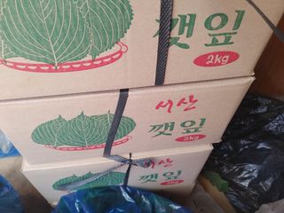 땅콩님의 자유주제 · 자유게시판 작성글 사진