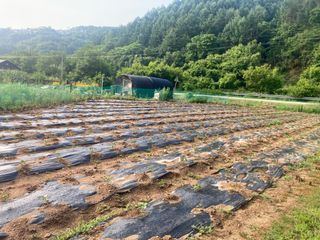 김순재님의 자유주제 · 자유게시판 작성글 사진