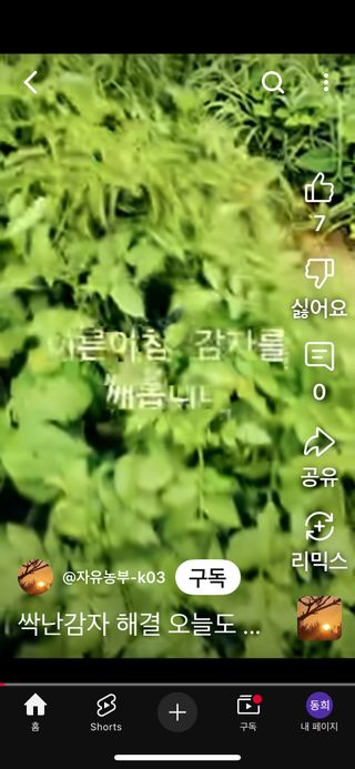 토끼풀님의 자유주제 · 자유게시판 작성글 사진