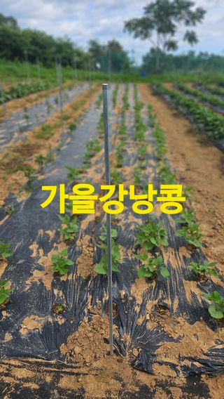 장철식님의 자유주제 · 자유게시판 작성글 사진
